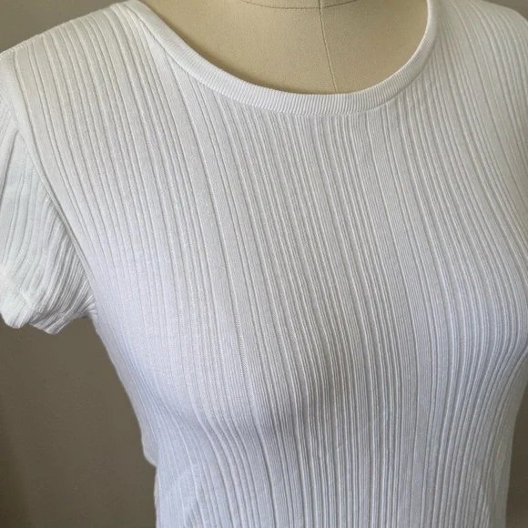 RE/DONE / Hanes Varigated 60s Slim Tee Optic White